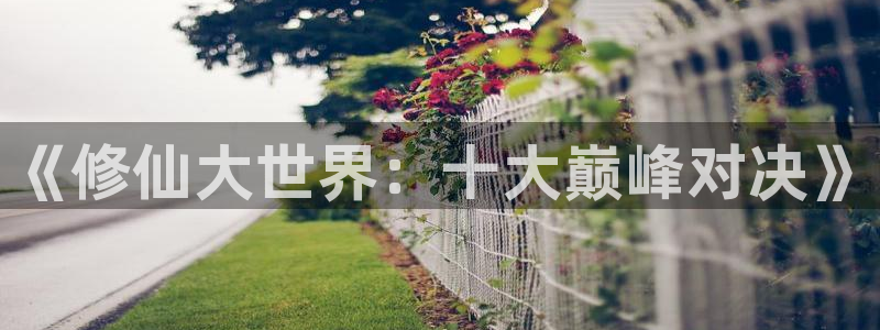 omofun动漫在线：《修仙大世界：十大巅峰对决》
