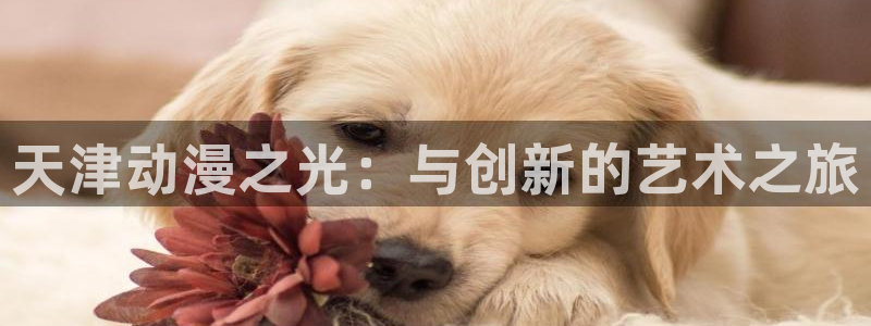omofun动画：天津动漫之光：与创新的艺术之旅