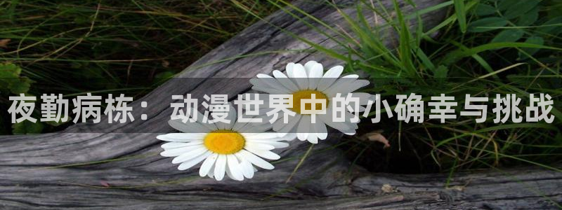 omofun链接：夜勤病栋：动漫世界中的小确幸与挑战