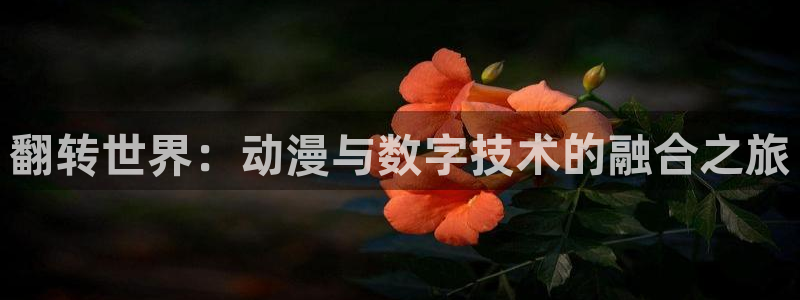 动漫omofun：翻转世界：动漫与数字技术的融合之旅