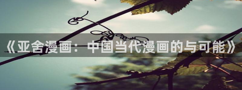 yy漫画com：《亚舍漫画：中国当代漫画的与可能》