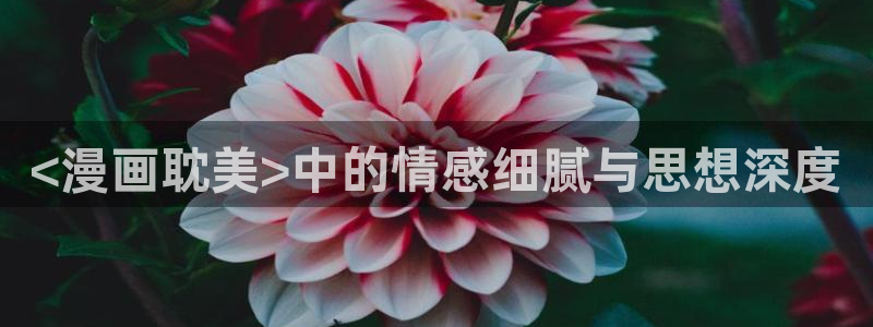 yy漫画韩国免费：<漫画耽美>中的情感细腻与思想深度