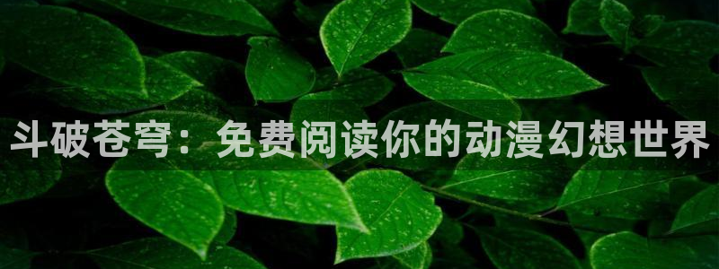 yy漫画韩漫：斗破苍穹：免费阅读你的动漫幻想世界