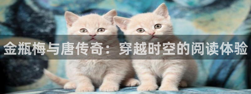 yy漫画登录页面：金瓶梅与唐传奇：穿越时空的阅读体验