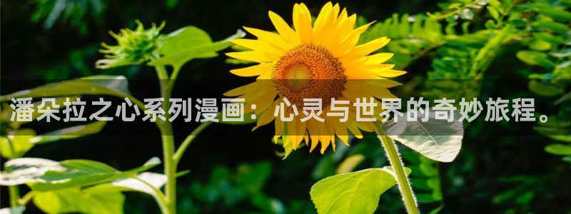 yy漫画在线观看免费观看：潘朵拉之心系列漫画：心灵与世界的奇妙旅程。