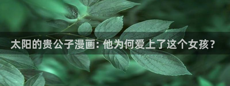 yy漫画韩国免费：太阳的贵公子漫画: 他为何爱上了这个女孩？
