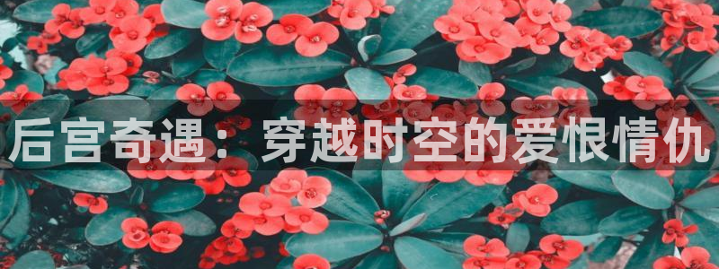 yy漫画网韩版：后宫奇遇：穿越时空的爱恨情仇