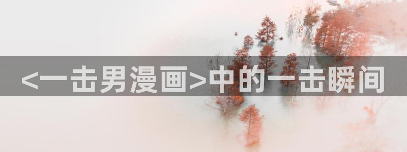 yy漫画首页登录：<一击男漫画>中的一击瞬间